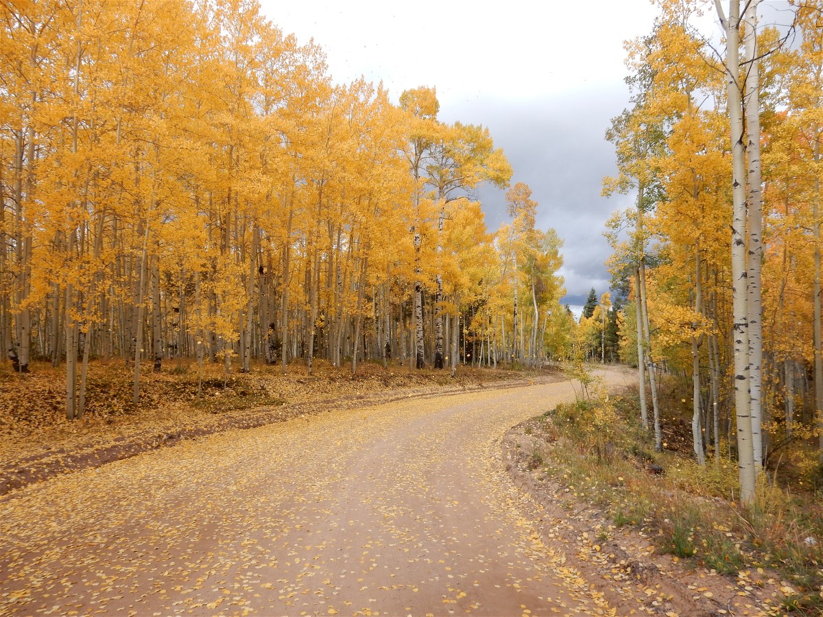Fall in the San de Cristo Mountains 10-2-16.jpg