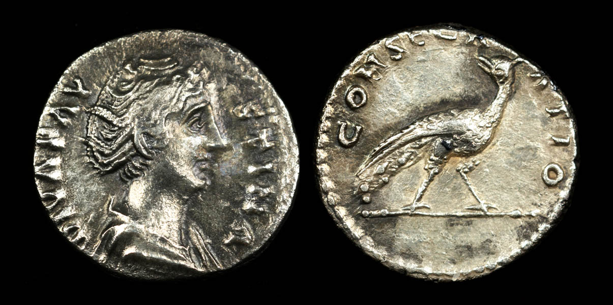 faus101-sv145-sm.jpg