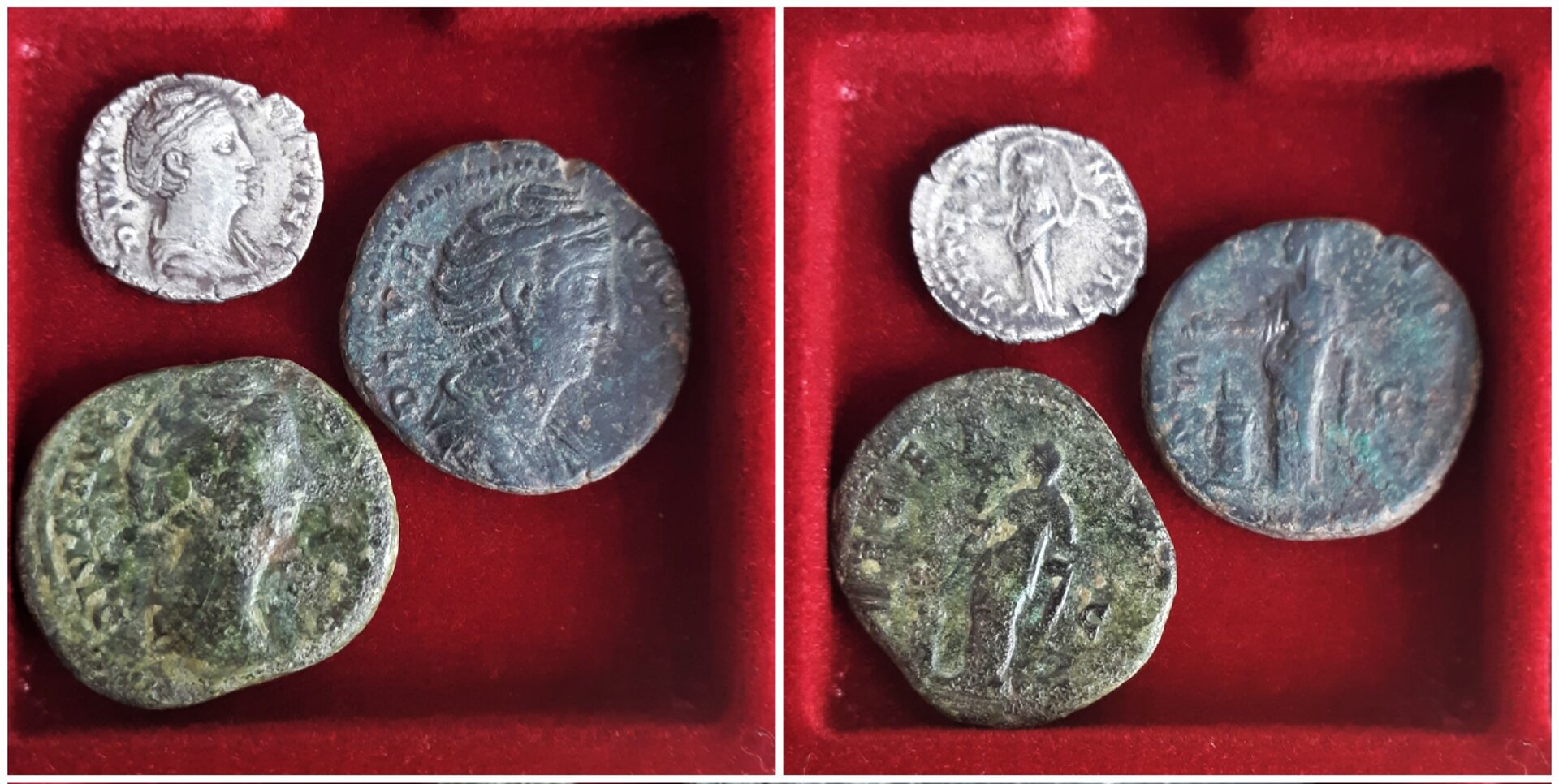 Faustina AETERTNITAS Group Shot.jpg
