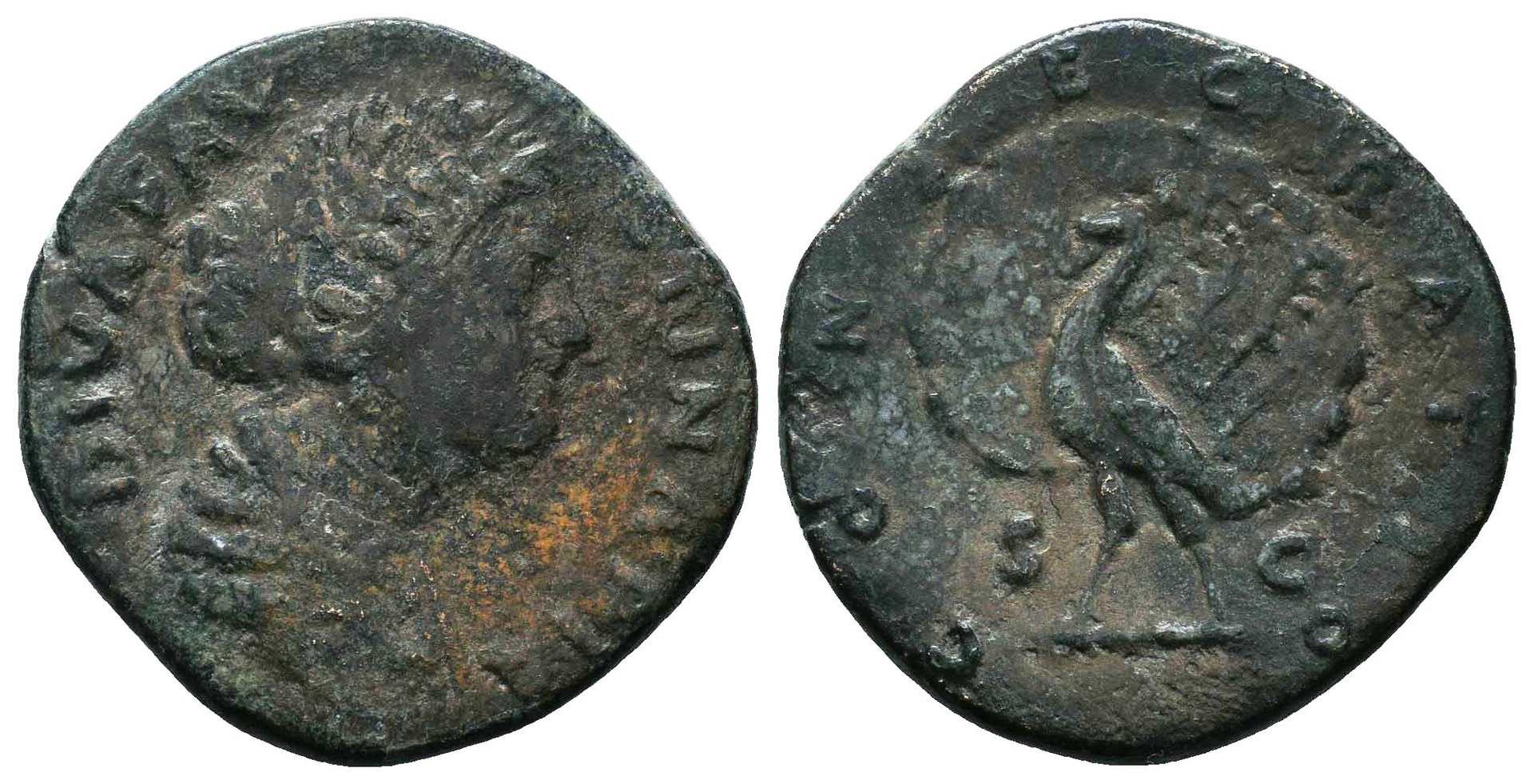 Faustina Jr CONSECRATIO S C Peacock facing sestertius Zeus.jpg
