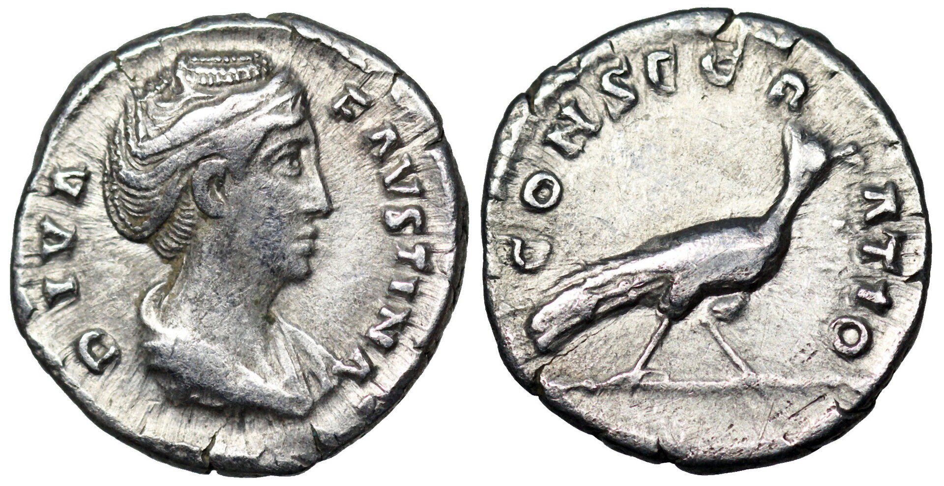 Faustina Rome 384.JPG