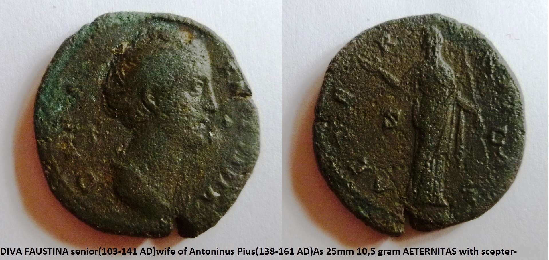Faustina sr Aeternita.JPG