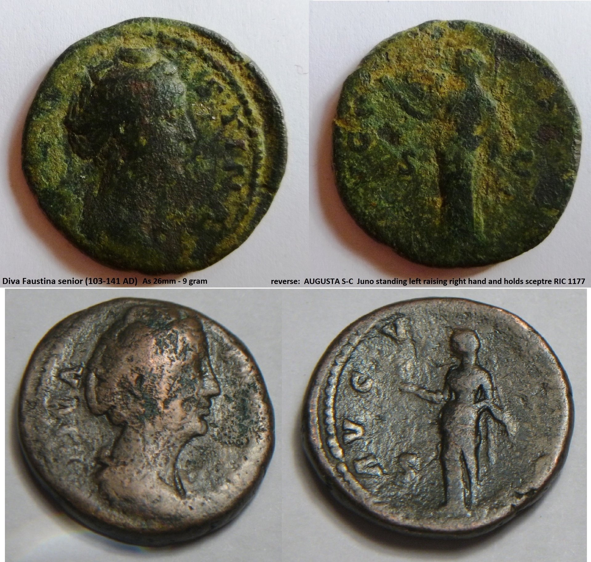 Faustina sr b.jpg