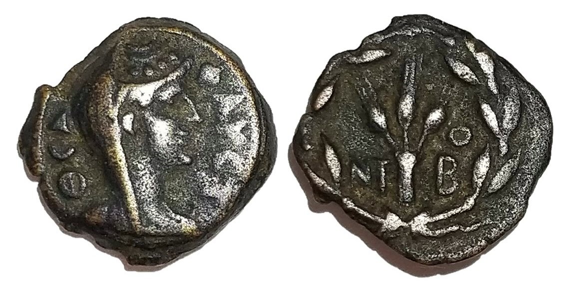 Faustina Sr Bostra barley ears.jpg