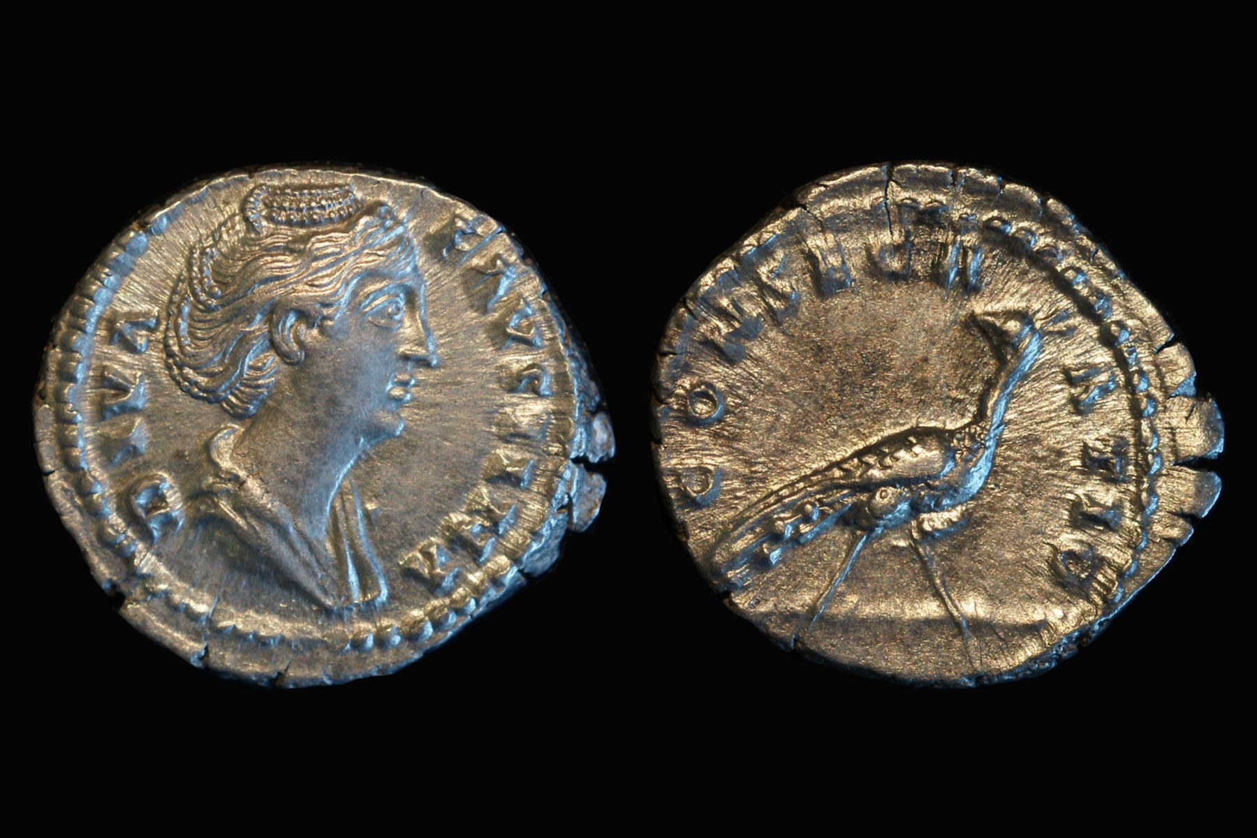 Faustina Sr.jpg