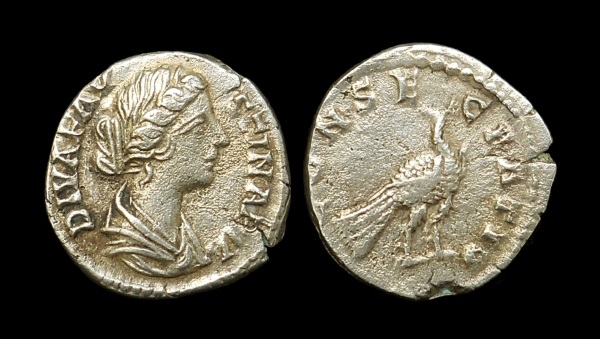 faustina_2_6.jpg