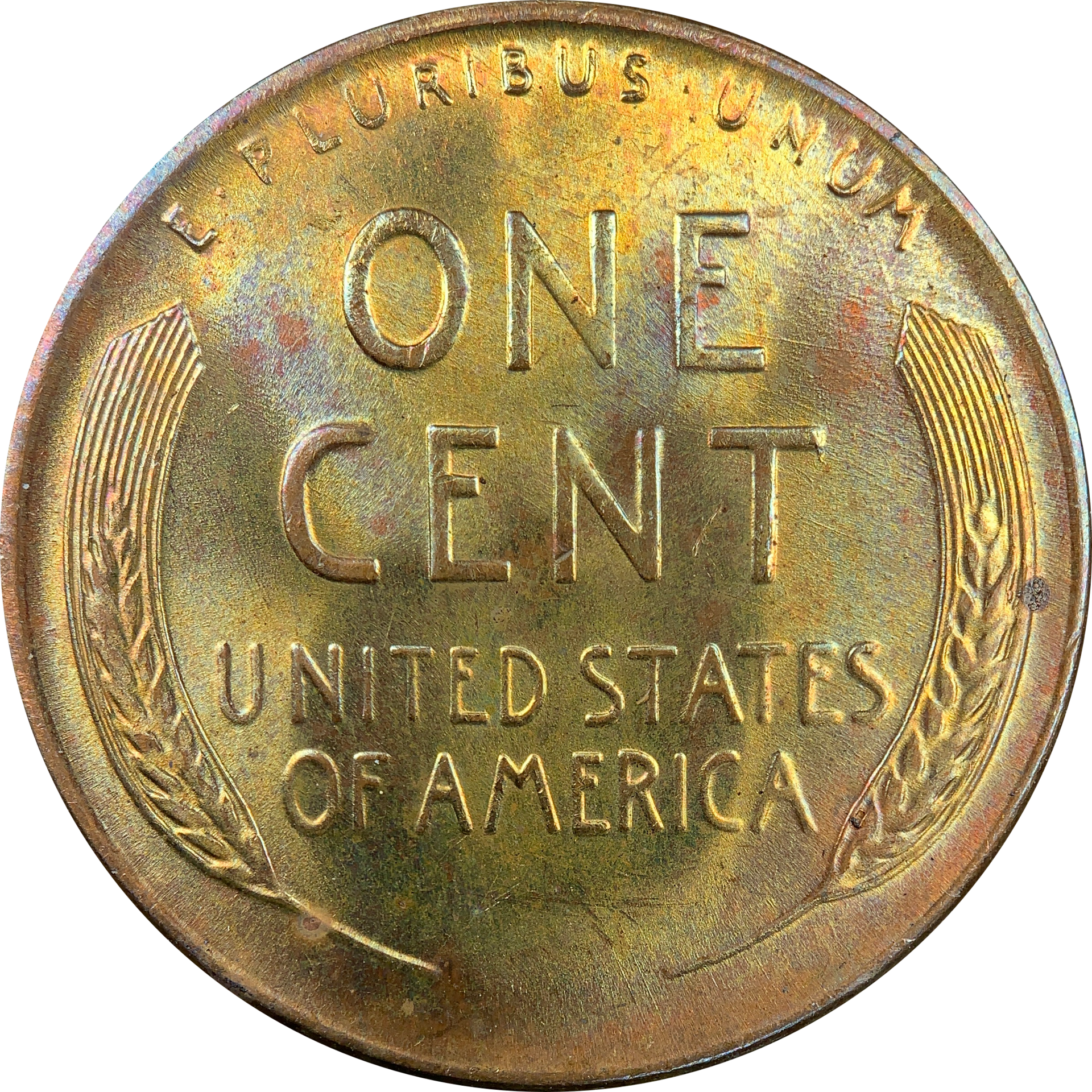 FB31B661-462D-4665-8A4B-F4F549A010A2.png