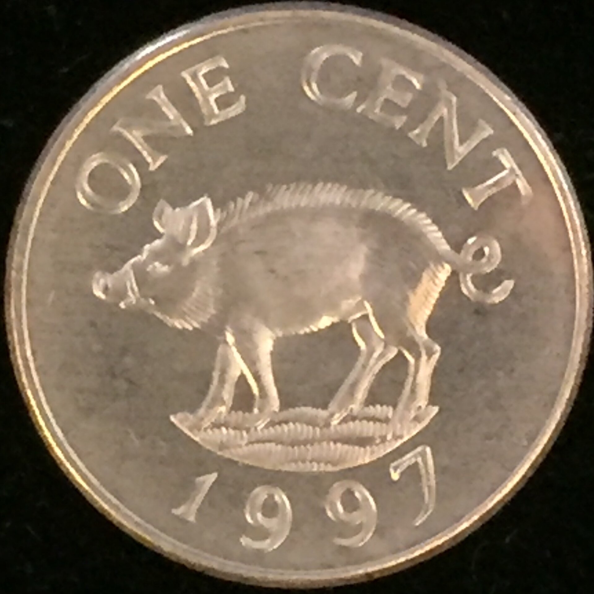 FBM-CE1997.001rev.jpg