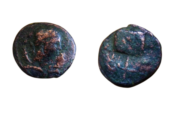 FCA6D13D-FB59-4136-A19C-2EE78D43811B.png