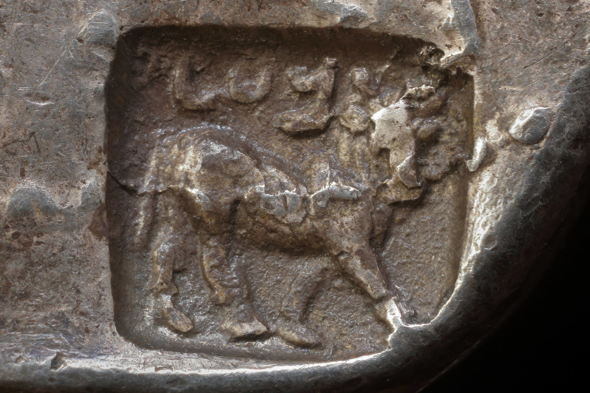 fd0450inset.jpg
