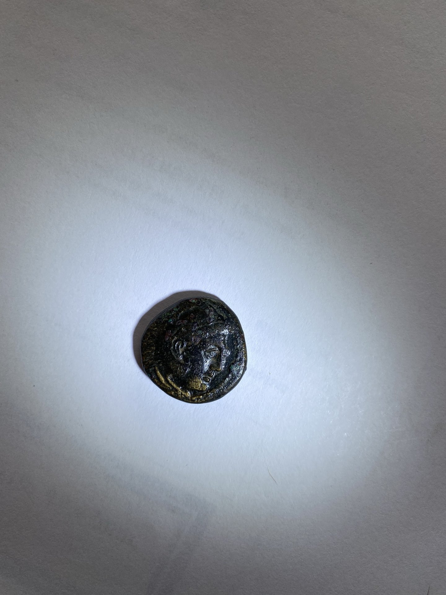 FD9C8E73-99D2-4E6D-8B72-E64D05CE0867.jpeg