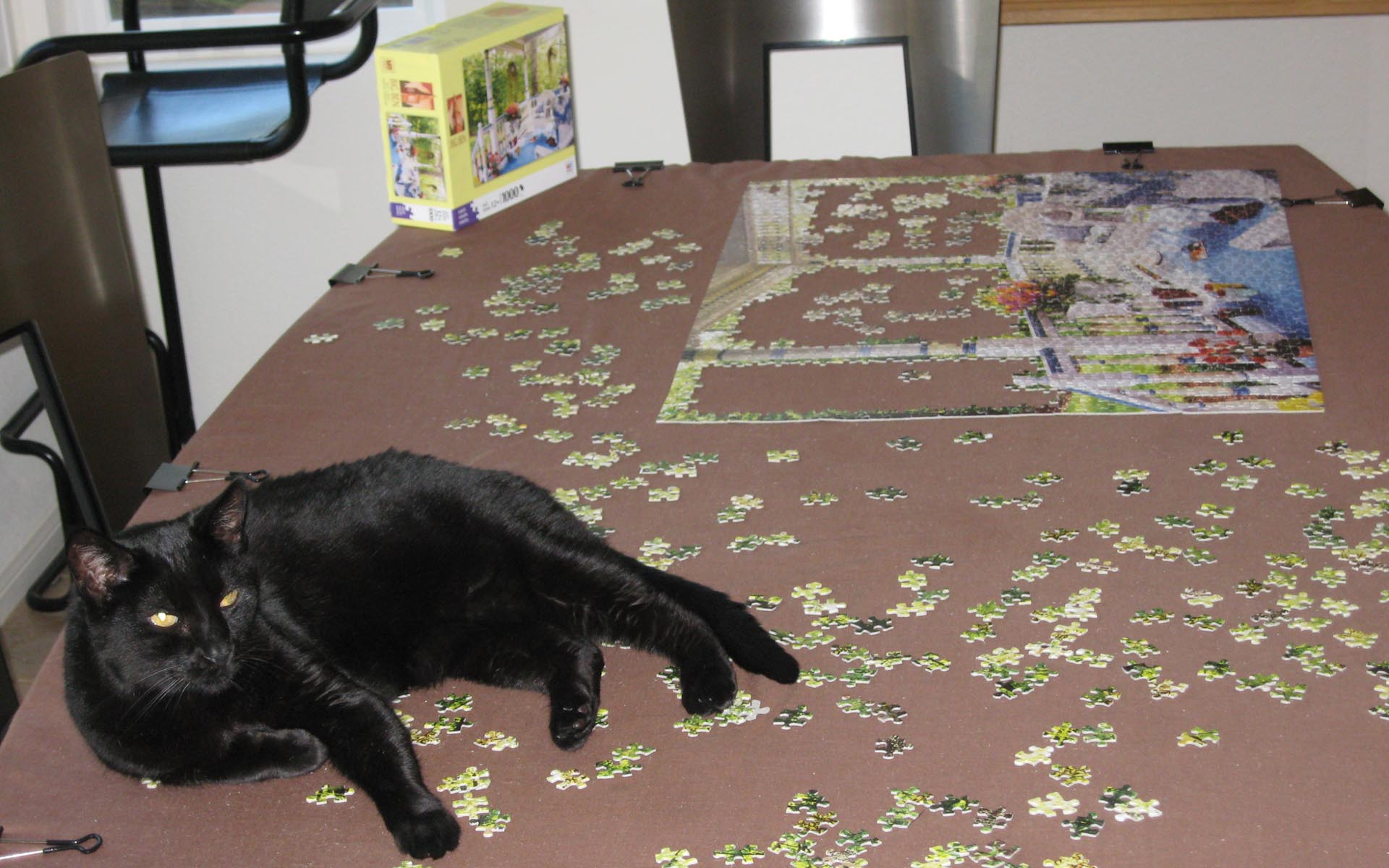 Fearless doing puzzle1 screen size.jpg