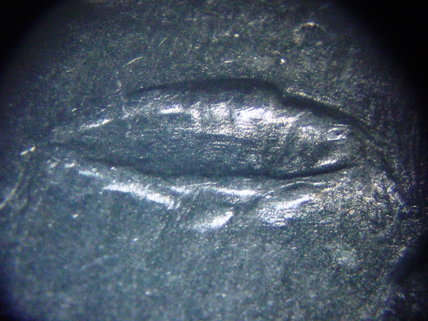 FEP Craters-02 3x4.jpg