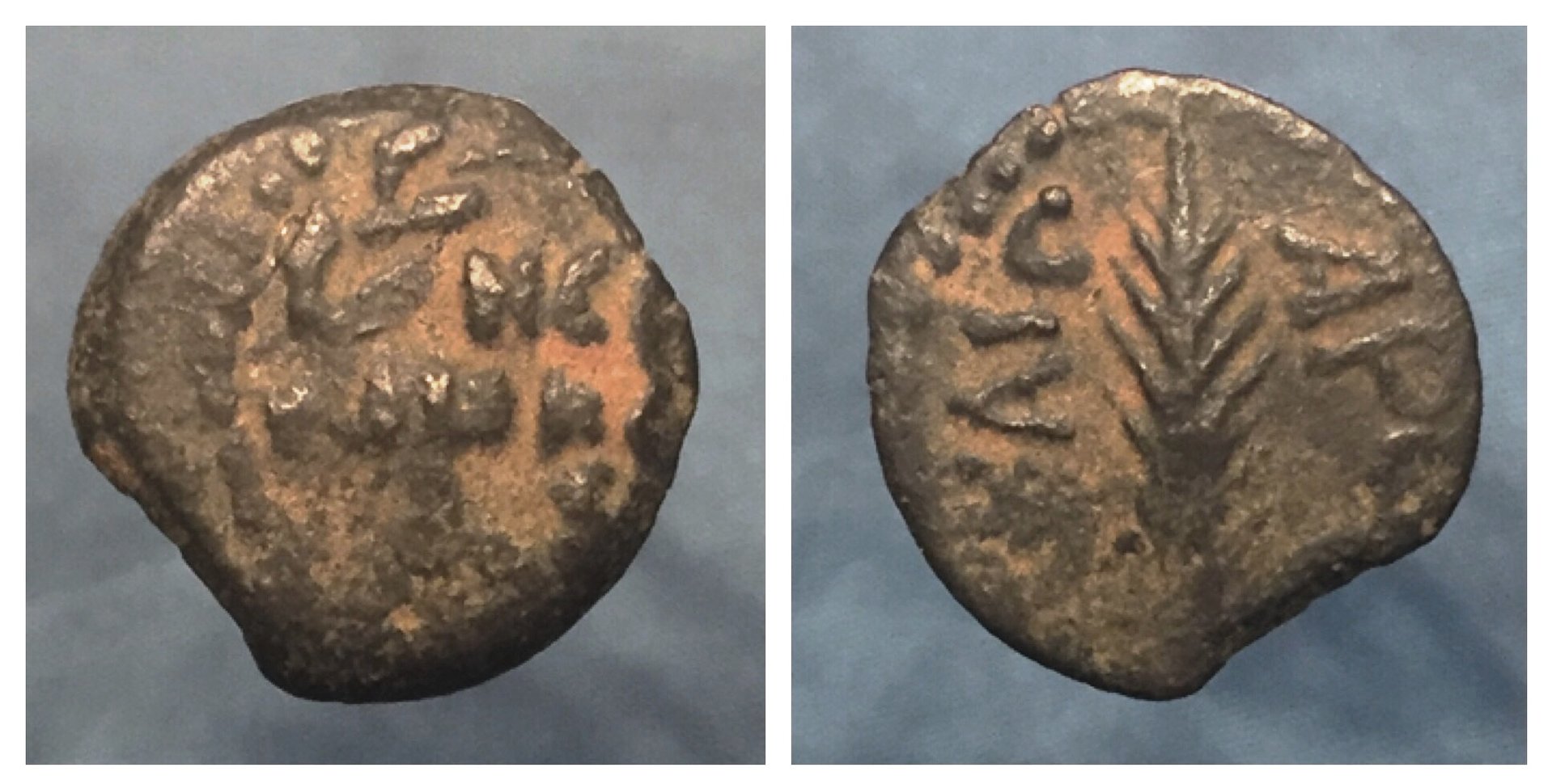 FESTUS 1.jpg