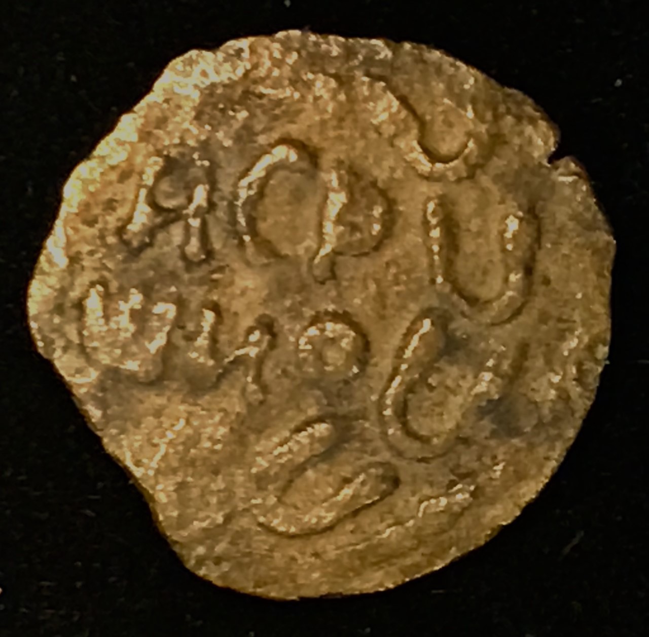 Festus 2 Reverse.jpg
