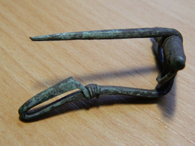 fibula 4.JPG