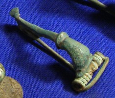 fibula.jpg