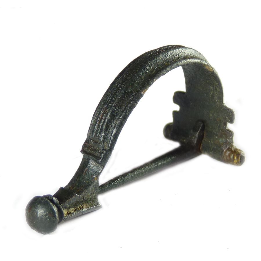 fibula1.jpg