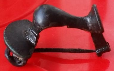 Fibula1.png