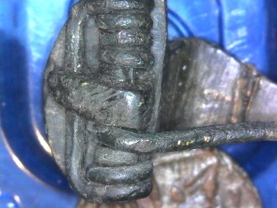 Fibula11.jpg