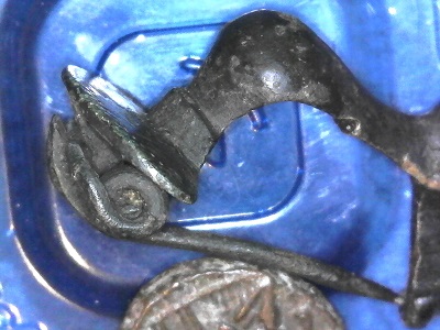Fibula33.jpg