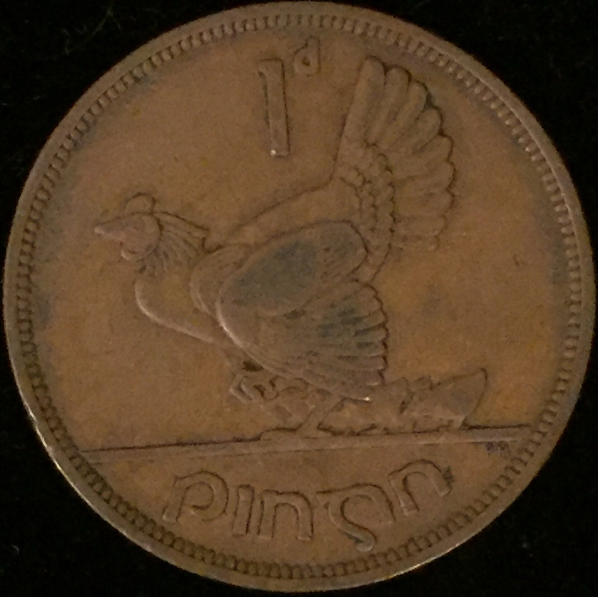 FIE-PN1943.001obv.jpg