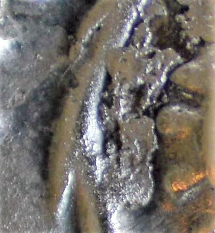 fig 5c.JPG