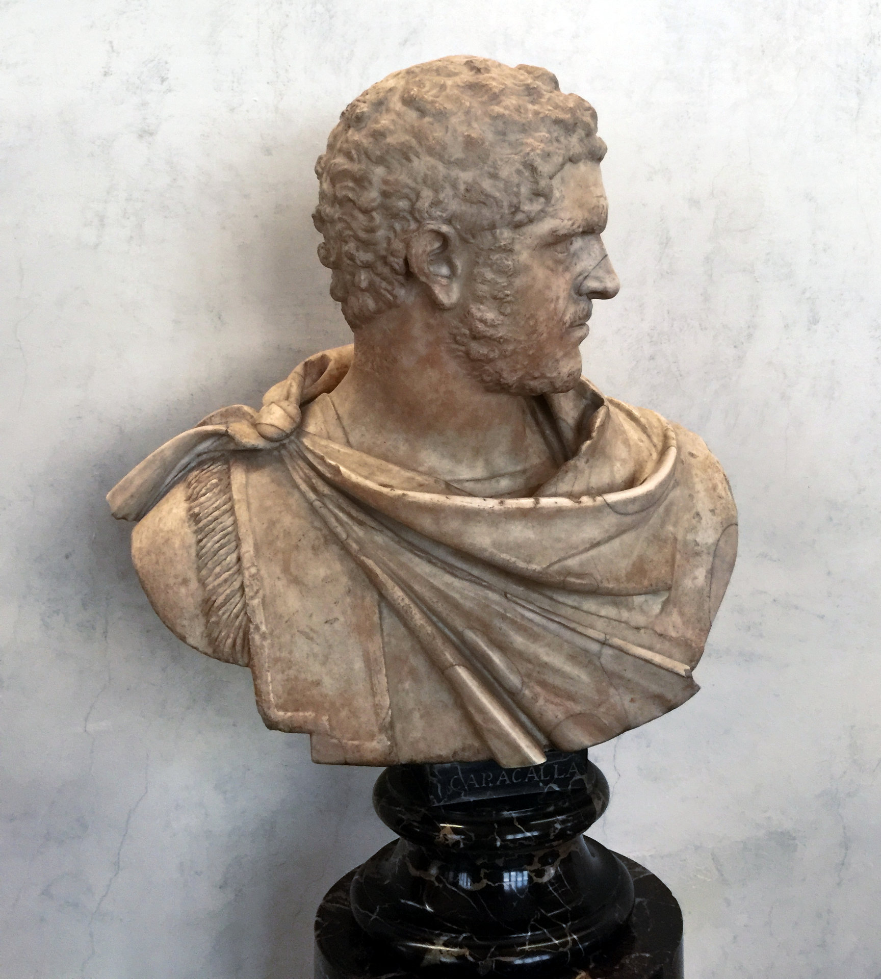 Fig_Caracalla.jpg