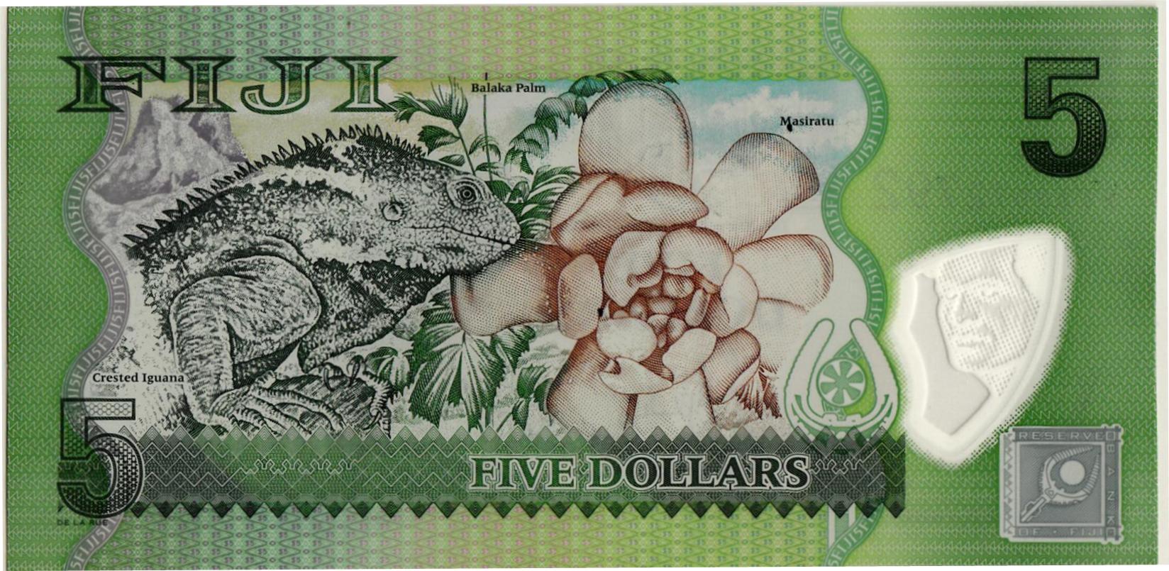 Fiji $5 back.jpg