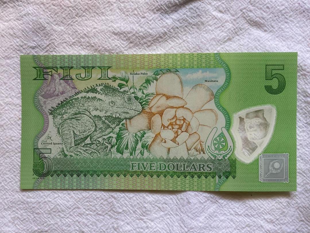 Fiji2.jpg