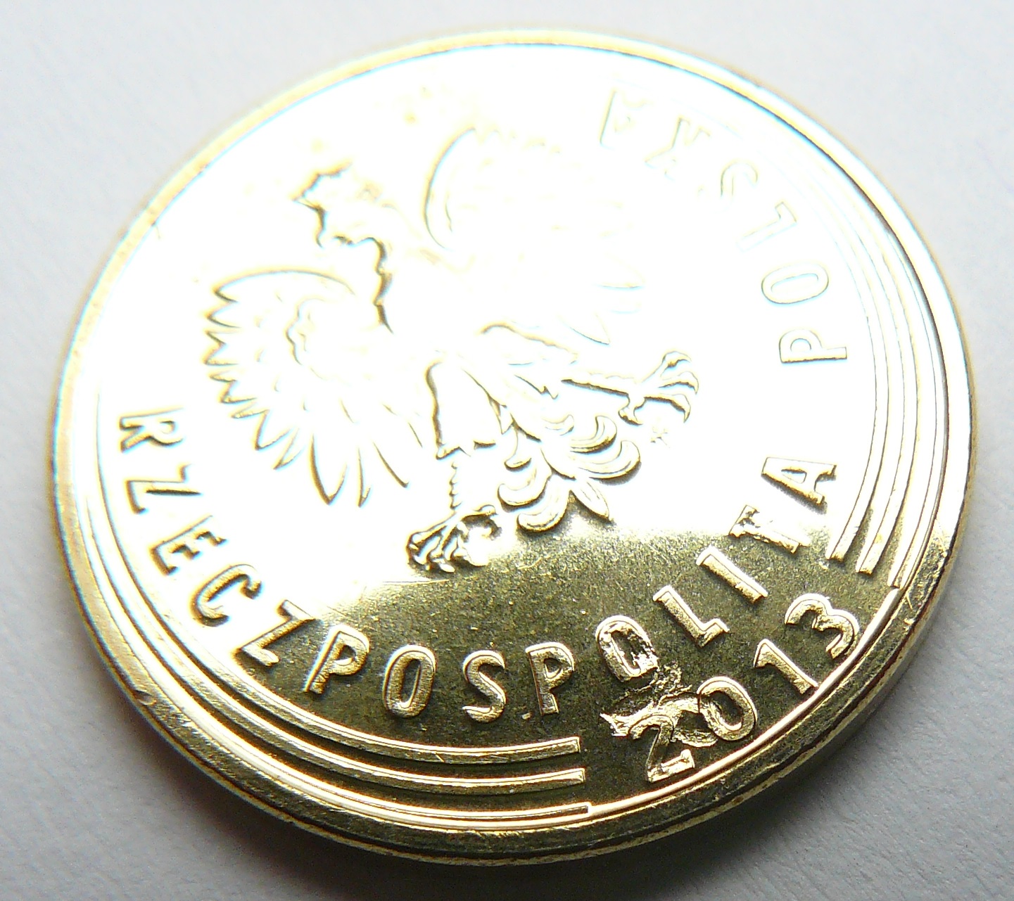 file-1.jpg