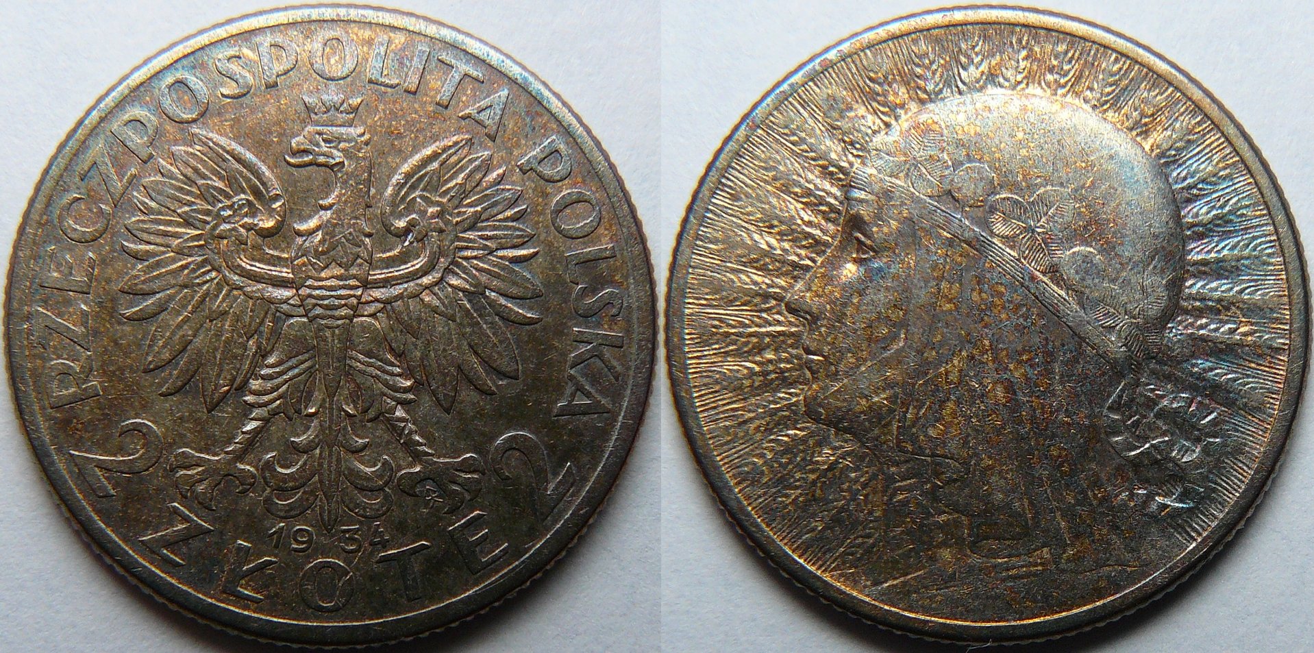 file-2.jpg