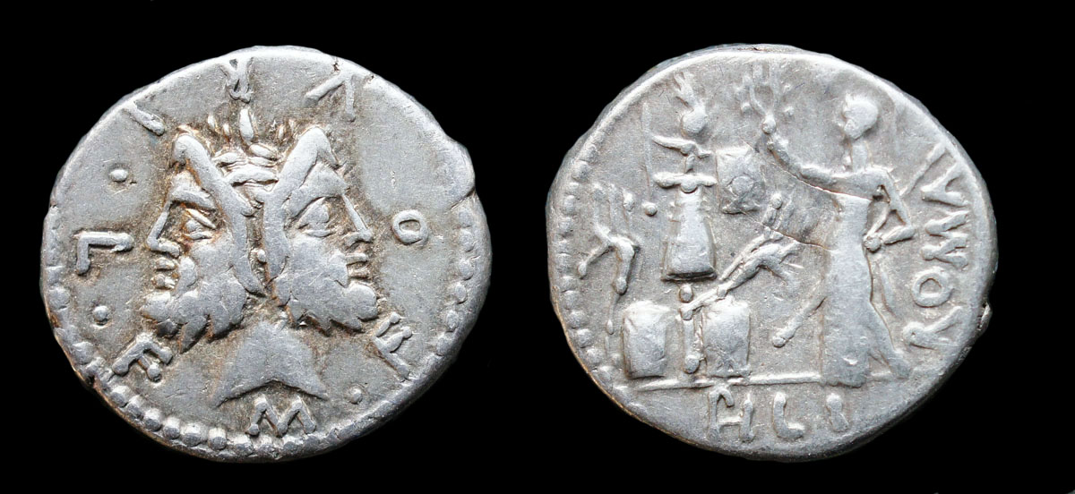 Filius.jpg