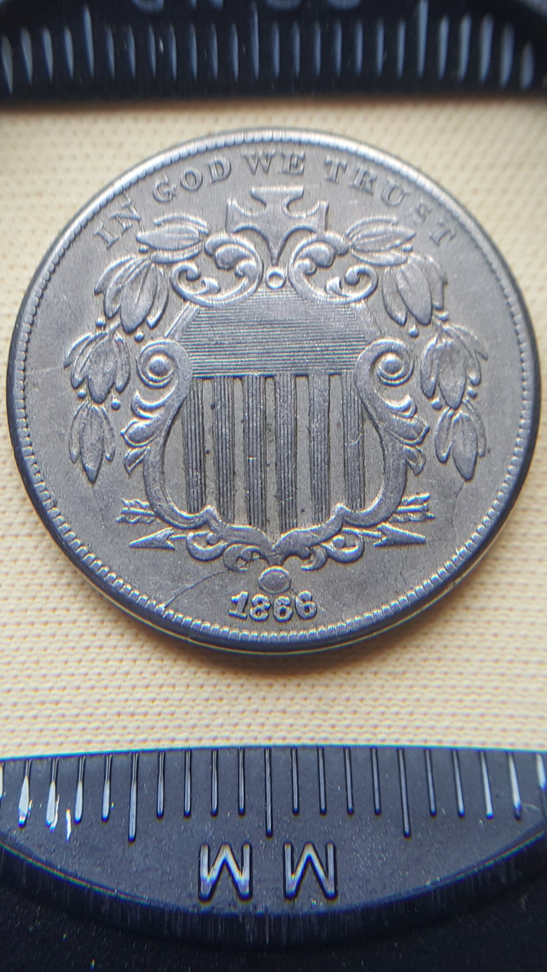 first download from S6 391.jpg
