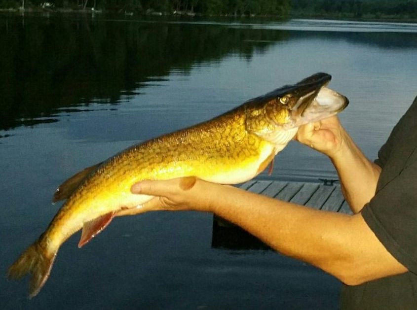 Fish and Dan Arms.JPG