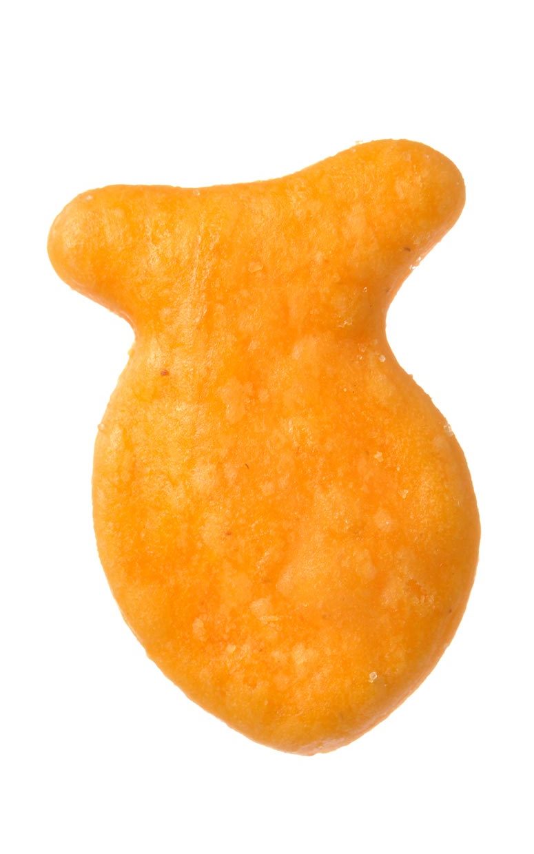 fish-cracker-ftr.jpg