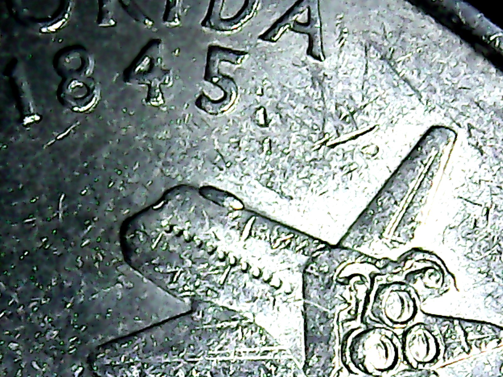 fl chip-3.jpg
