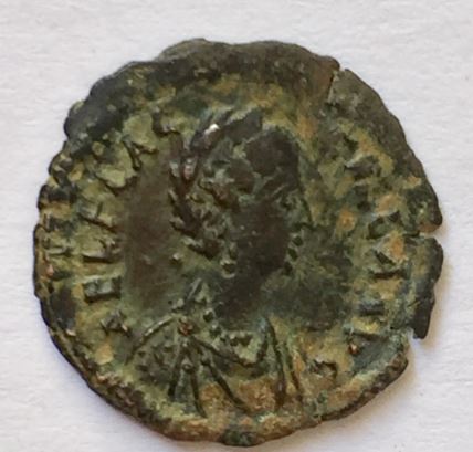 Flaccilla rare            RIC 64.JPG