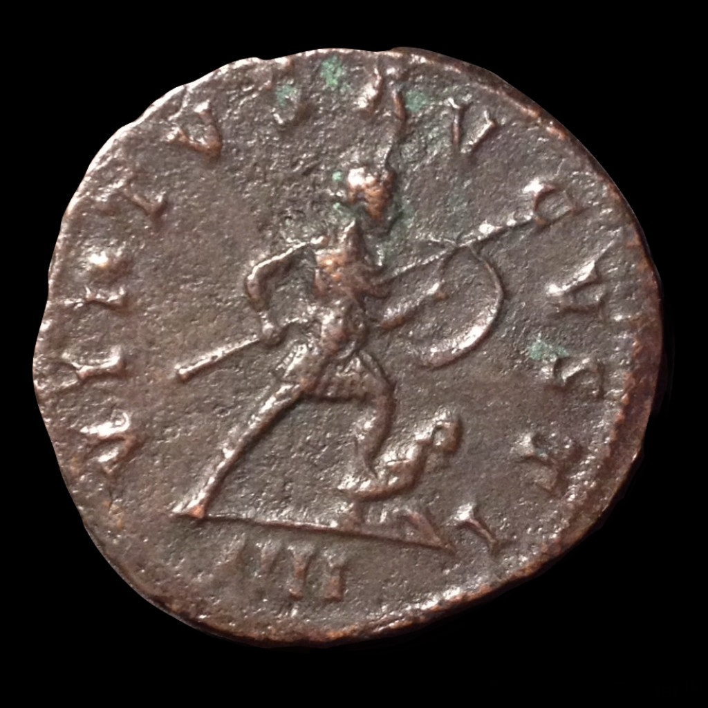 Florian 20130117 rev.jpg