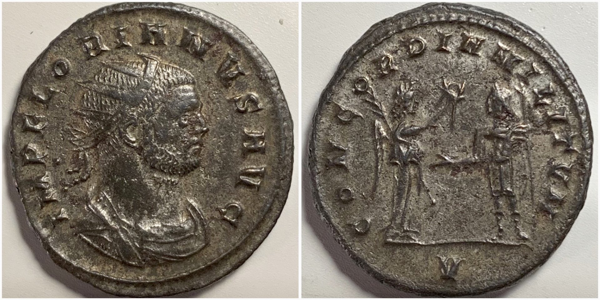 FlorianRIC116.jpg
