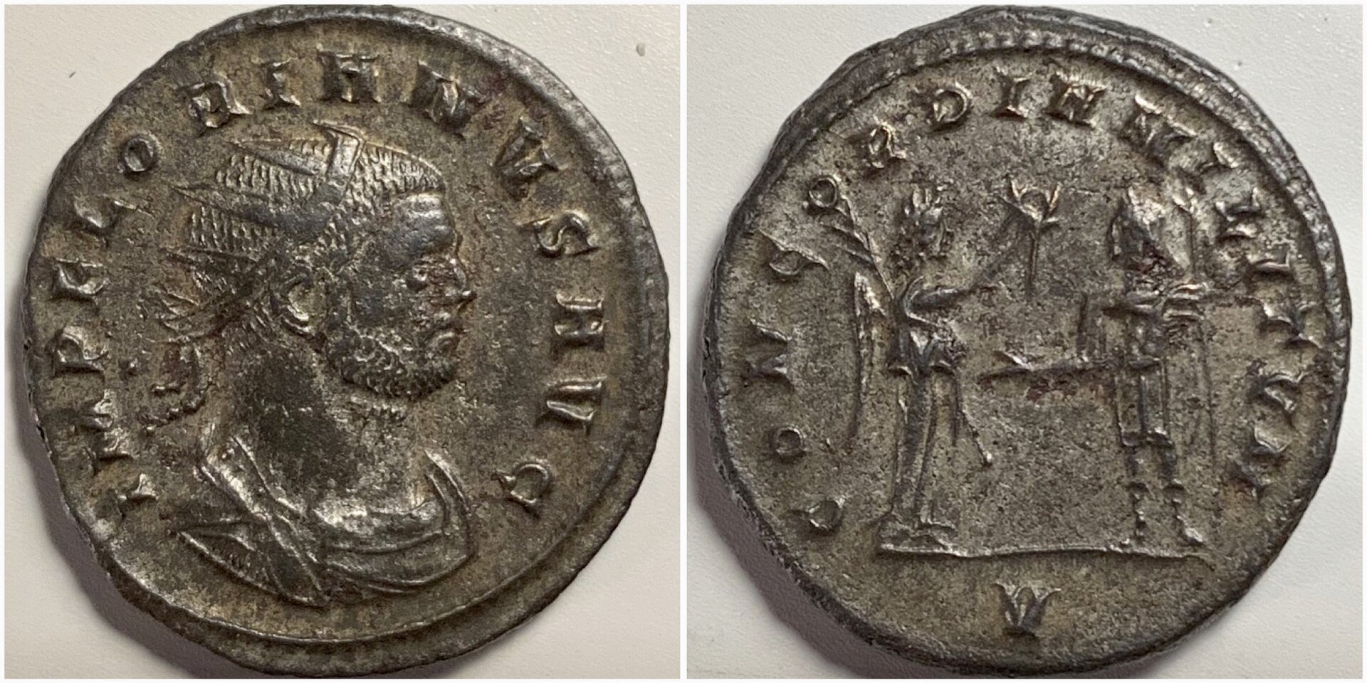 FlorianRIC116.jpg