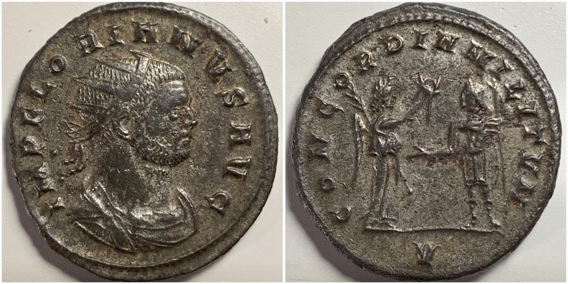 FlorianRIC116.jpg