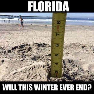 Florida Winter.jpg