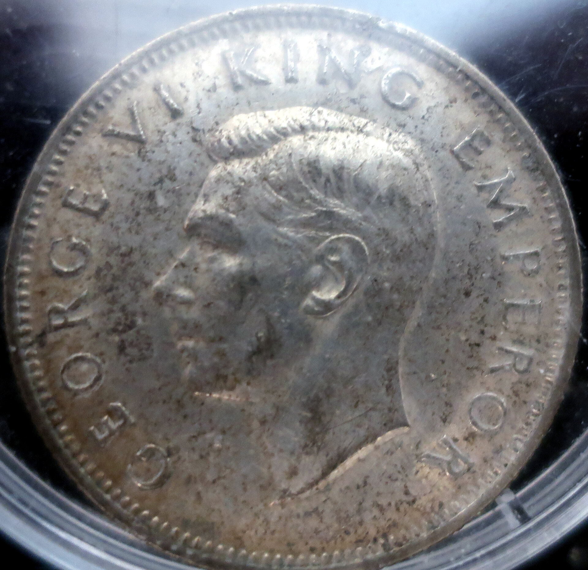 florin_o.jpg
