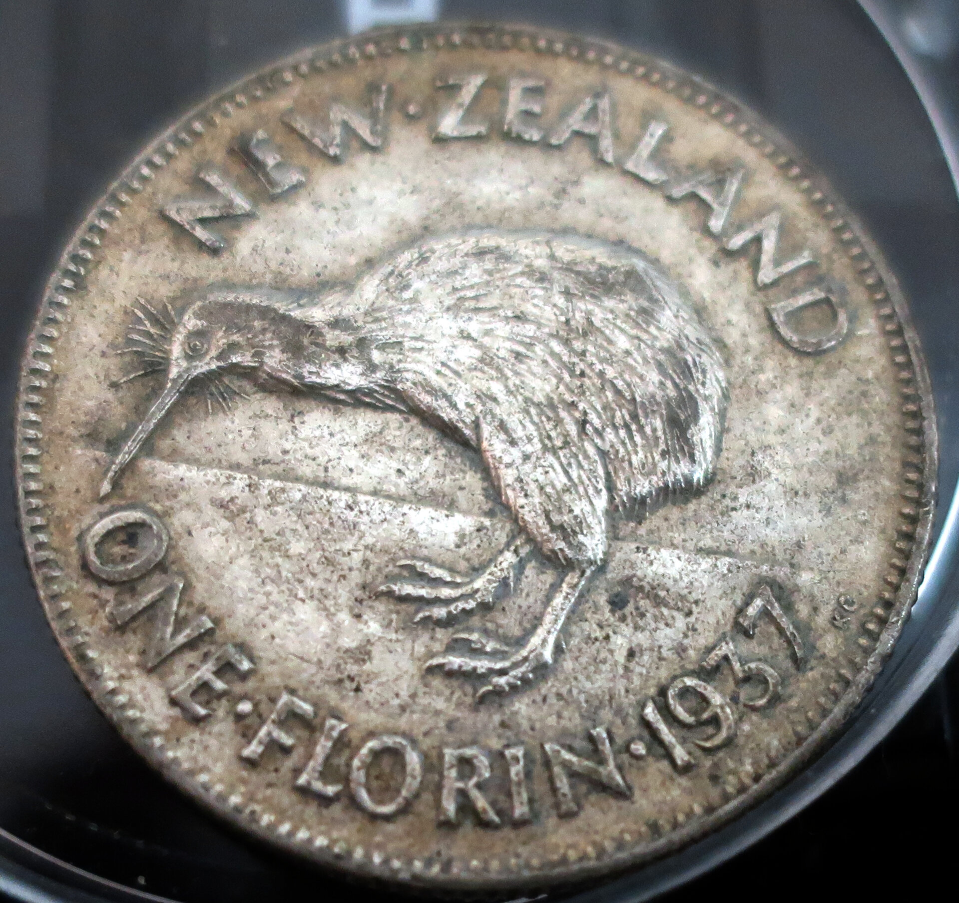 florin_r.jpg