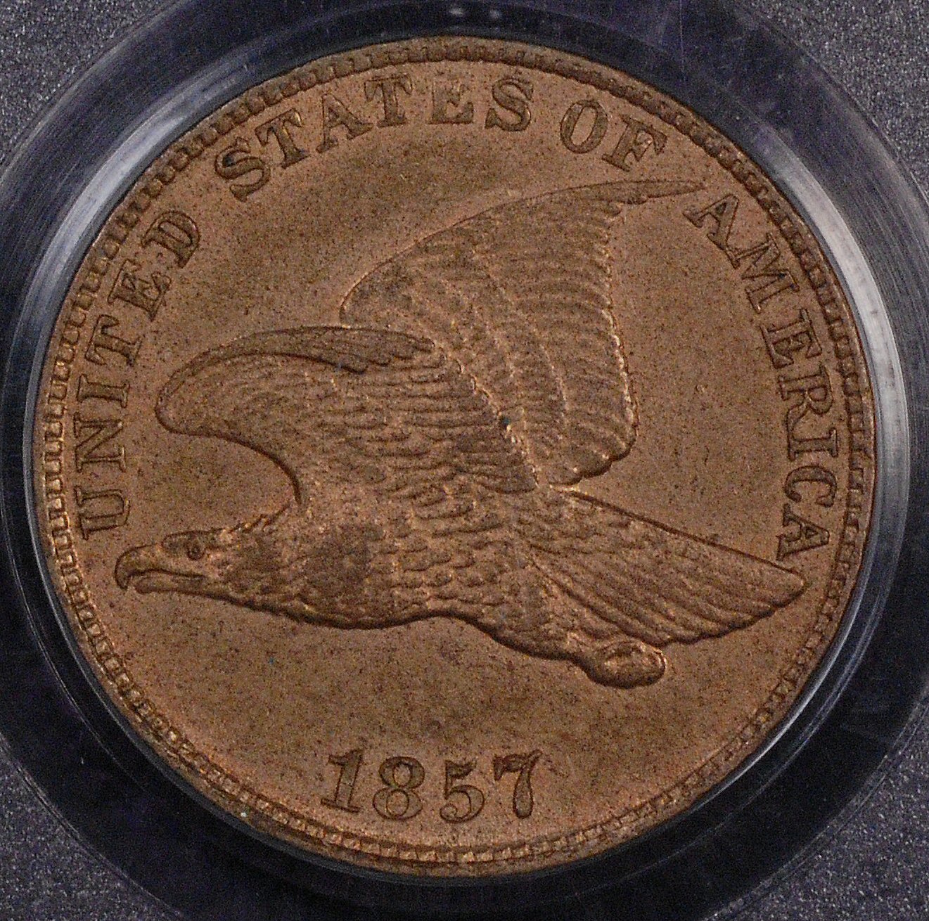 flying eagle cent 1857 obv.jpg