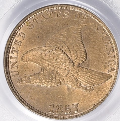 Flying Eagle Cent Obv .jpg