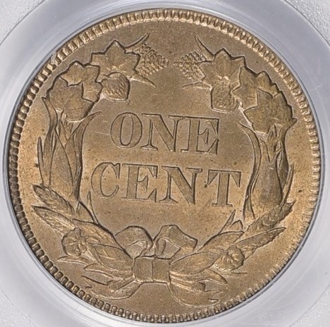 Flying Eagle Cent Reverse.jpg