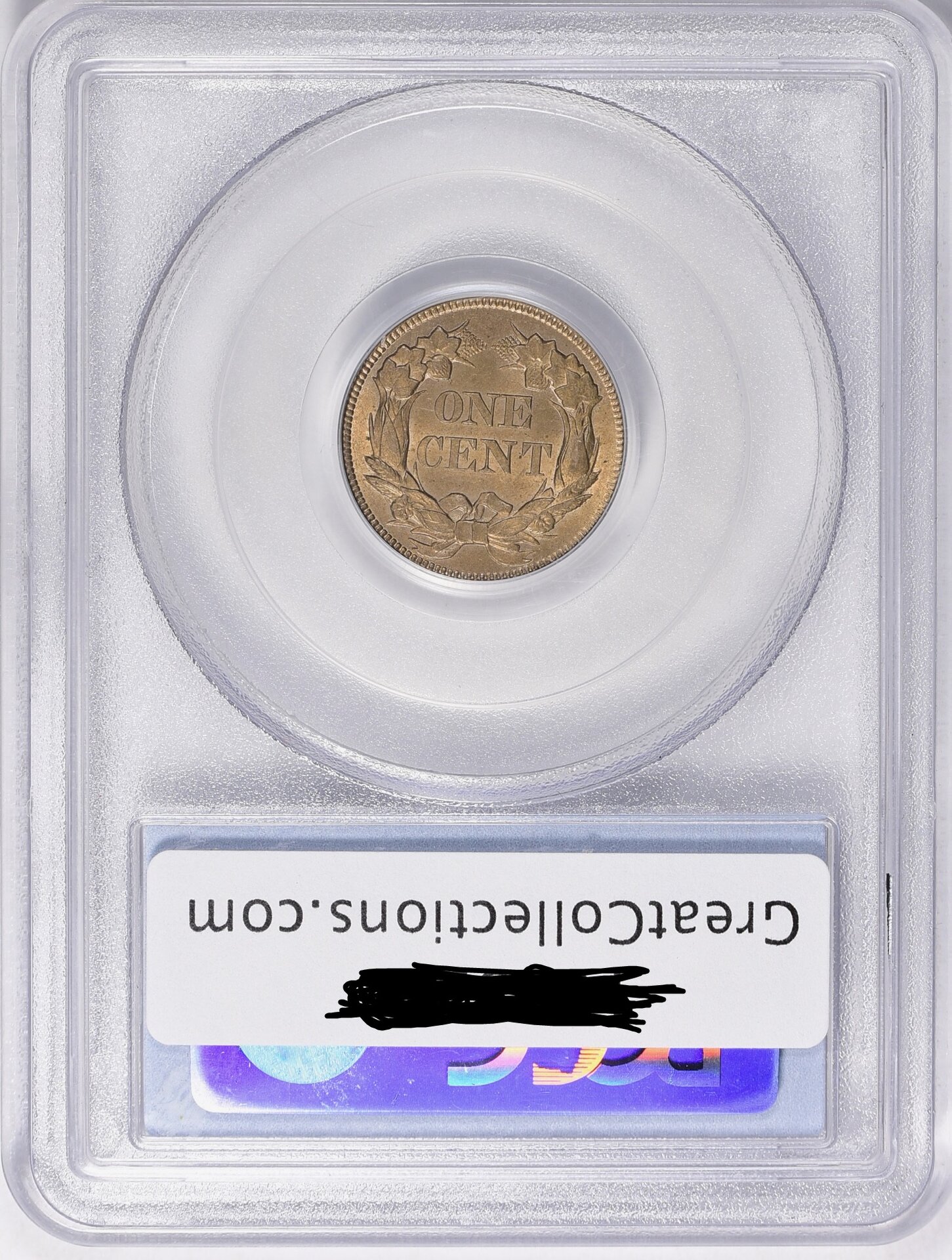 Flying Eagle Cent Reverse obscurred.jpg