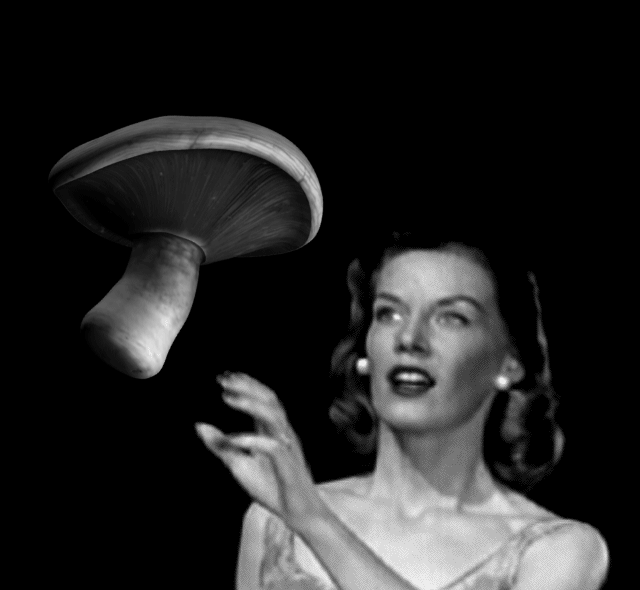 Flying mushroom.gif